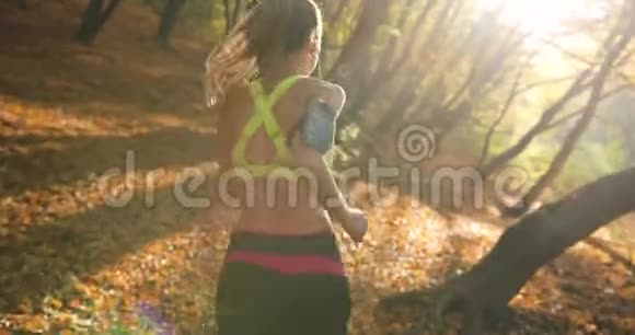 公园里的女跑步者阳光照耀着穿着慢跑服的漂亮女人而她听着音乐跑步视频的预览图