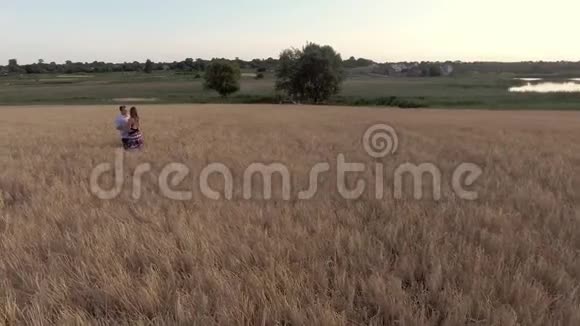 一对美丽的情侣在夏天站在麦田里拥抱和亲吻视频的预览图