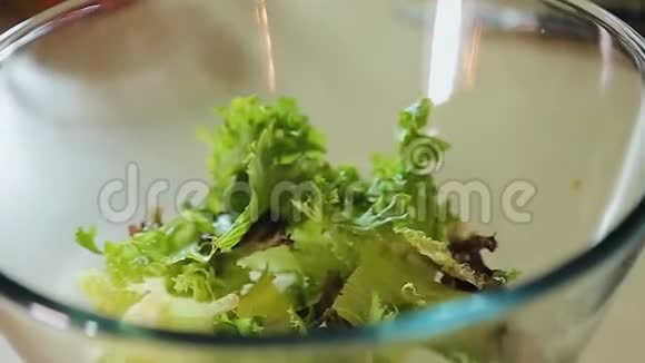烹饪节目参与者在沙拉碗中倒入健康的有机生菜视频的预览图