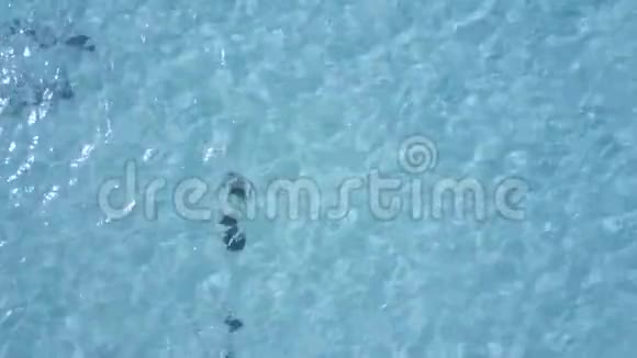 空中无人机射击从鸟瞰珊瑚景色镜头向下看迅速飞过水面视频的预览图