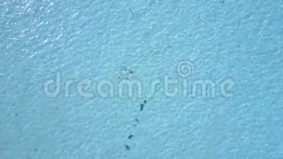 空中无人机射击从鸟瞰珊瑚景色镜头向下看加勒比绿松石水视频的预览图