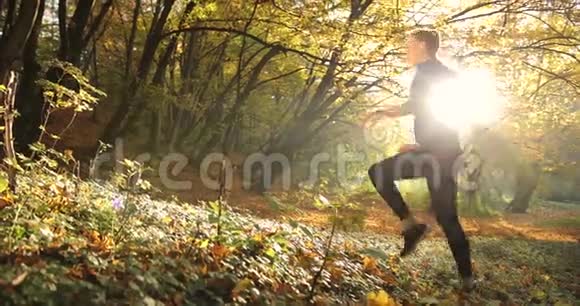 在公园里工作穿着慢跑服的女人在一个充满早晨的秋天公园里当场跑步视频的预览图