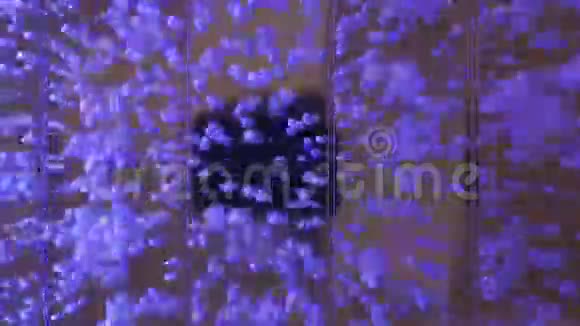装饰水族馆里清澈的水中冒出的气泡视频的预览图