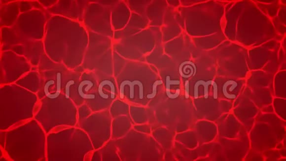显微镜下提取红色血液颗粒视频的预览图