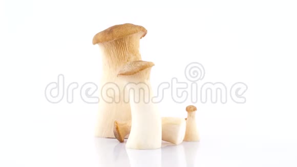 几个大的和小的爱林鲍鱼树蘑菇站着撒谎在转盘上旋转隔离在视频的预览图