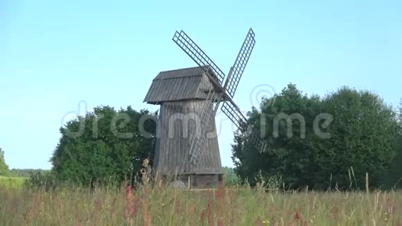 六月早晨草地上的一个旧风车米哈伊洛夫斯科普希金山脉俄罗斯视频的预览图