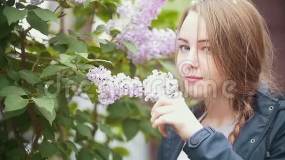 盛开的紫丁香享受花香的女孩视频的预览图