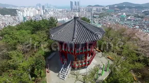 韩国釜山乌鲁松山公园樱花泉亚洲视频的预览图