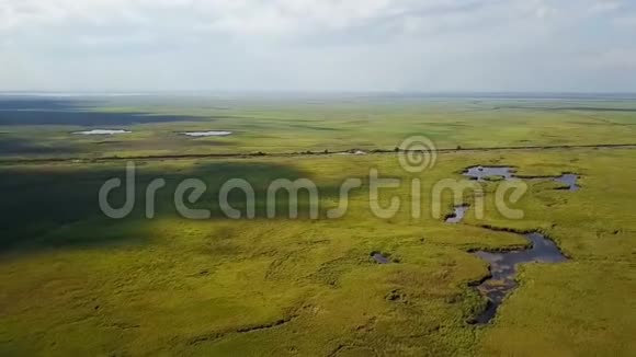 罗马尼亚多瑙河三角洲芦苇植被鸟瞰视频的预览图