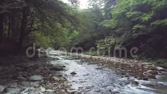 夏季森林鸟瞰山涧河在石头上流淌视频的预览图