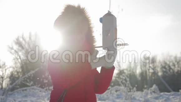冬天公园里有个漂亮可爱的女孩带着喂鸟器在树上喂鸟寒假和假期概念儿童视频的预览图