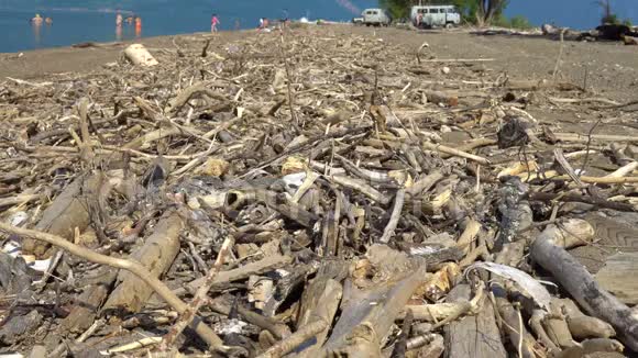 海滩上到处都是干木头和树枝视频的预览图