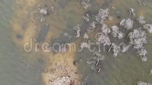 大河水库大坝自然林乡村山体景观视频的预览图