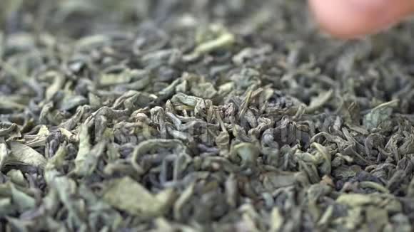 雄手采茶叶冲泡中国绿茶干茶叶背景宏观的美丽的干绿茶视频的预览图