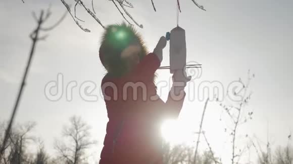 冬天公园里有个漂亮可爱的女孩带着喂鸟器在树上喂鸟寒假和假期概念儿童视频的预览图
