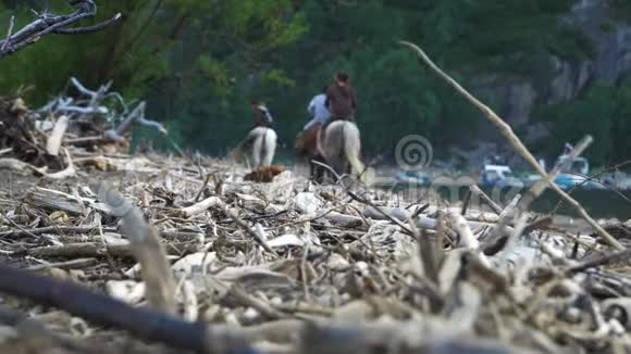 一群骑马的人沿着山湖的沙岸散步视频的预览图