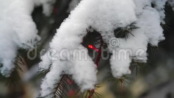 公园里白雪覆盖的圣诞树上的红色加兰视频的预览图