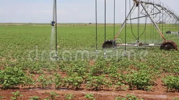灌溉视频的预览图