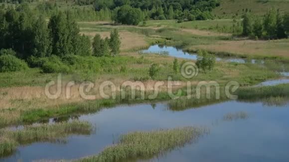 六月阳光明媚的一天观赏戈罗迪什琴科耶湖俄罗斯Izborsk视频的预览图