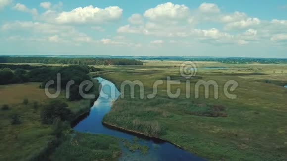 晴天阴天的绿林蓝湖空中镜头视频的预览图