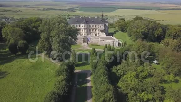 在夏季4K25fps飞离皮蒂奇城堡的空中镜头视频的预览图