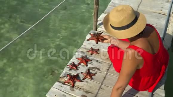 两帧视频穿着红色衣服的女人坐在码头上认为是红星鱼红海星特写镜头A视频的预览图
