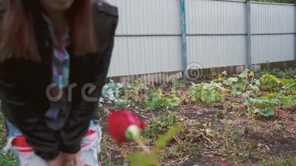 公园里一位美女的画像嗅着玫瑰闭上脸站起来侧视图视频的预览图