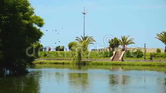 人们漫步在美丽的湖边周围是绿棕榈树休闲娱乐视频的预览图