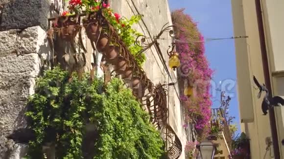 神奇的细节流行舒适的陶里纳装饰房屋阳光明媚的街道西西里视频的预览图