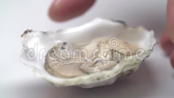 牡蛎壳的特写视频的预览图