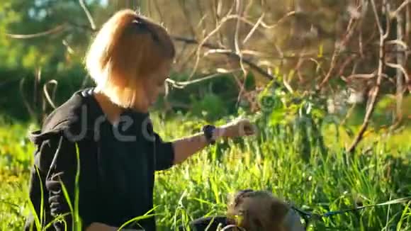 一个女孩在抚摸小狗阳光明媚夏日视频的预览图