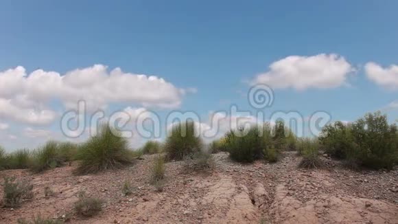沙漠和云层中的草视频的预览图