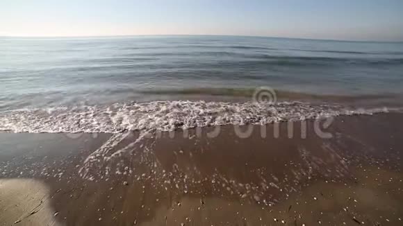早晨海岸上的海浪视频的预览图