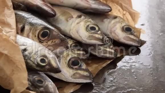 地中海鲭鱼视频的预览图