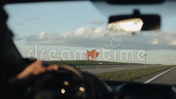 驶过白俄罗斯公路上一座水牛纪念碑背景是美丽的天空视频的预览图