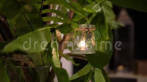 在棕榈树的枝干上挂着玻璃罐里燃烧的蜡烛视频的预览图
