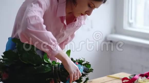 专业花艺师花店剪花茎花卉手工制作和小企业概念视频的预览图