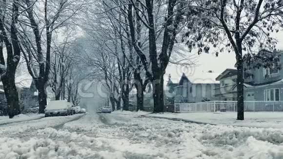 在大雪中过马路视频的预览图