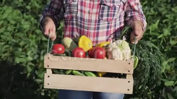 农夫带着一个装有不同蔬菜的木箱视频的预览图