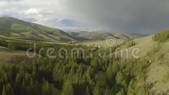 在夏日里随着太阳耀斑向松林和山谷移动阿尔卑斯山户外绿色自然景观视频的预览图