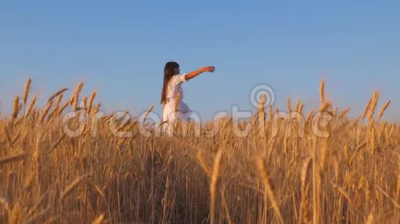 美丽的女孩穿着白色的裙子在成熟的麦子里跳舞慢动作视频的预览图