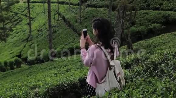 女游客在茶园拍照视频的预览图