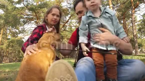 在露营旅行中和一只狗和孩子们在一起的幸福家庭与父亲休一天假的无忧无虑的青少年徒步旅行视频的预览图