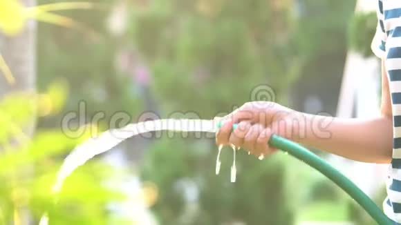 3530岁的亚洲女孩用一根直筒给晚树浇水这一个晚上的活动关心花园和视频的预览图