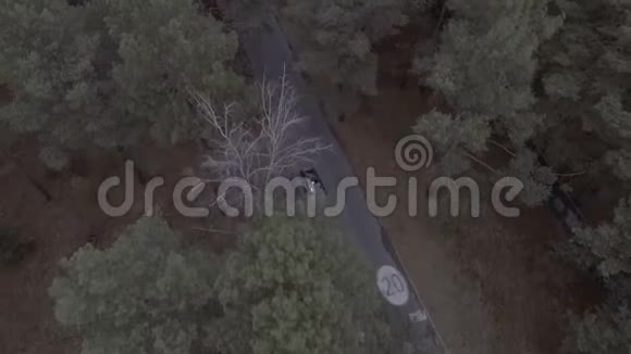 飞越森林公园松树飞越树梢和道路限速标志20公里小时飞越视频的预览图