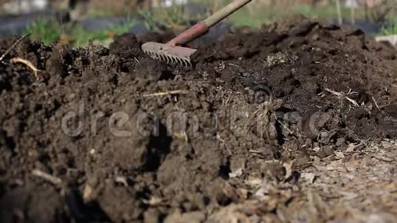 在花园中种植蔬菜农民用有机肥灰施肥蔬菜中种植马铃薯视频的预览图