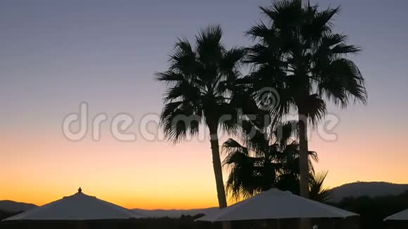 豪华酒店的精彩日落有棕榈和白色雨伞晚上在温泉度假胜地放松颜色梯度视频的预览图