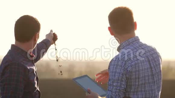 农户在麦地干活沟通看片两个农民在田间交谈用平板电脑视频的预览图