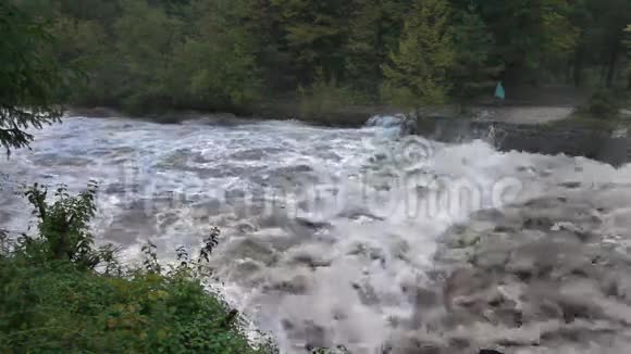 白天河水泛滥视频的预览图