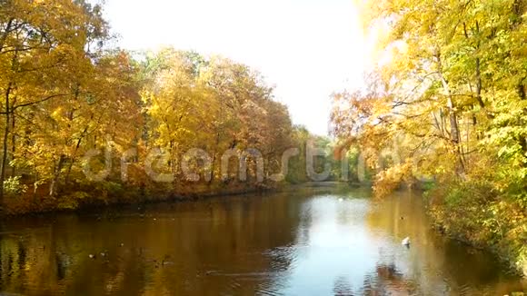 湖公园秋水视频的预览图